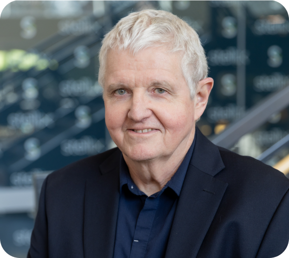 Joe Mullaney Stellix Strategic Advisor