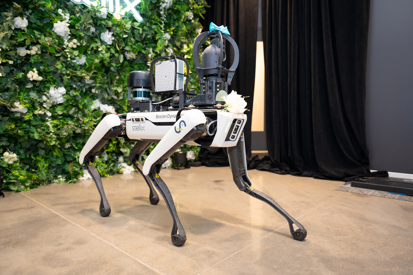 Stella the monitoring quadruped robot